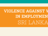 Infographic: Violence against Women in Employment